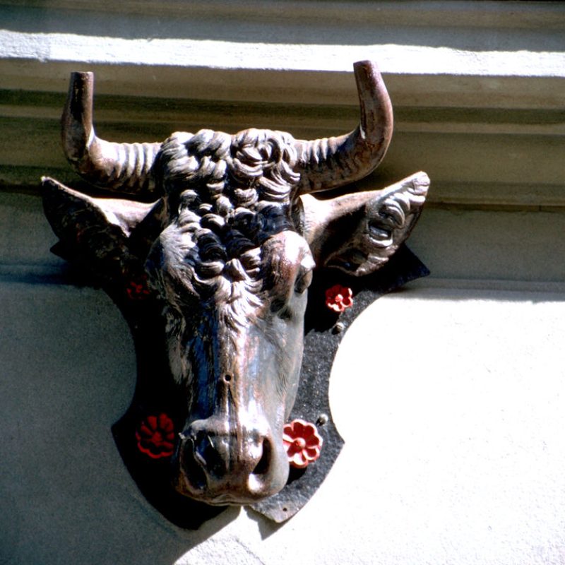 Rue-116
